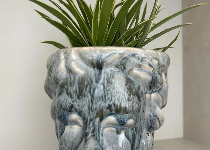 Blue North - Centrum